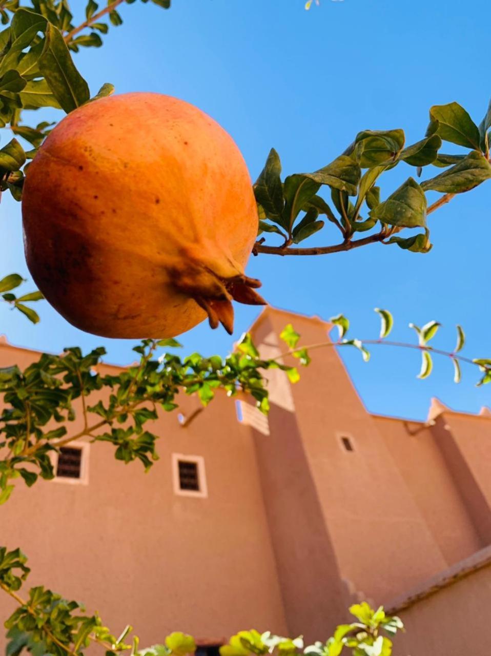 La Perle De Saghro Hotel Nkob Exterior photo